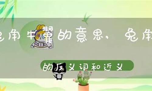 兔走乌飞的成语意思-兔走乌飞近义词