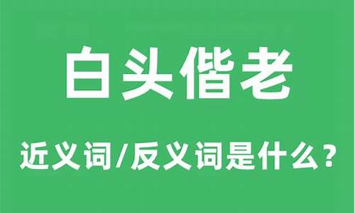 白头偕老的意思及造句简单-白头偕老的意思及造句