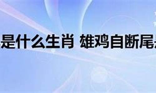 雄鸡断尾打一生肖-雄鸡断尾的故事