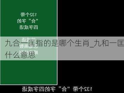 九合一匡指的是哪个生肖_九和一匡什么意思