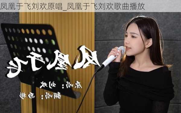 凤凰于飞刘欢原唱_凤凰于飞刘欢歌曲播放