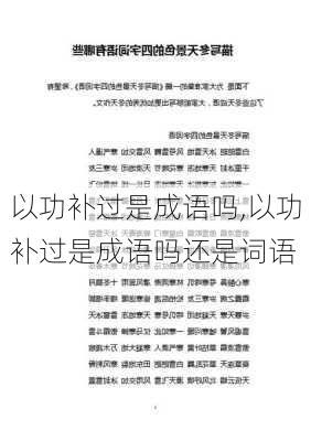 以功补过是成语吗,以功补过是成语吗还是词语