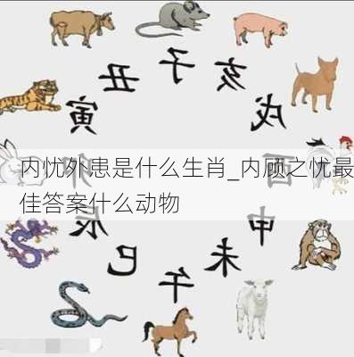 内忧外患是什么生肖_内顾之忧最佳答案什么动物