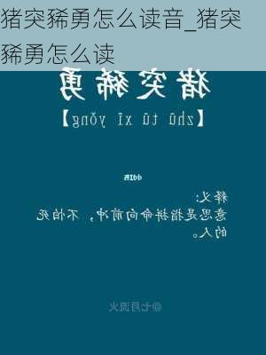 猪突豨勇怎么读音_猪突豨勇怎么读