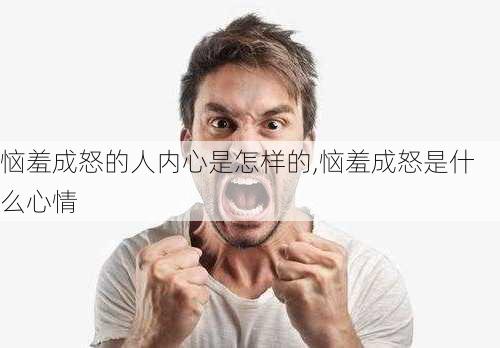 恼羞成怒的人内心是怎样的,恼羞成怒是什么心情