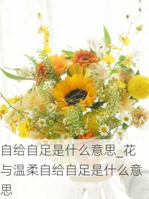 自给自足是什么意思_花与温柔自给自足是什么意思