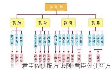 君臣佐使配方比例_君臣佐使药方