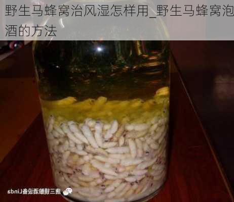 野生马蜂窝治风湿怎样用_野生马蜂窝泡酒的方法