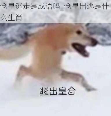 仓皇逃走是成语吗_仓皇出逃是什么生肖