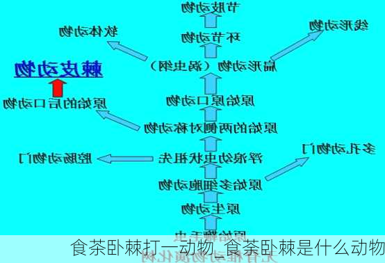 食茶卧棘打一动物_食荼卧棘是什么动物