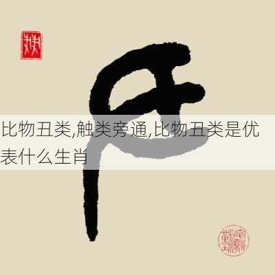 比物丑类,触类旁通,比物丑类是优表什么生肖