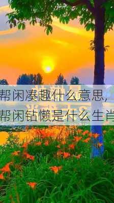 帮闲凑趣什么意思,帮闲钻懒是什么生肖