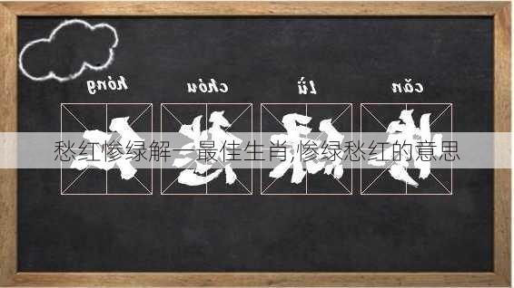 愁红惨绿解一最佳生肖,惨绿愁红的意思