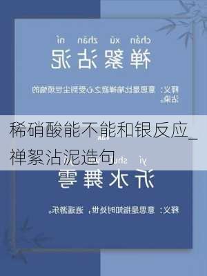 稀硝酸能不能和银反应_禅絮沾泥造句