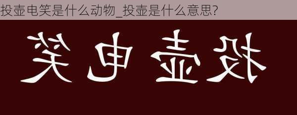 投壶电笑是什么动物_投壶是什么意思?