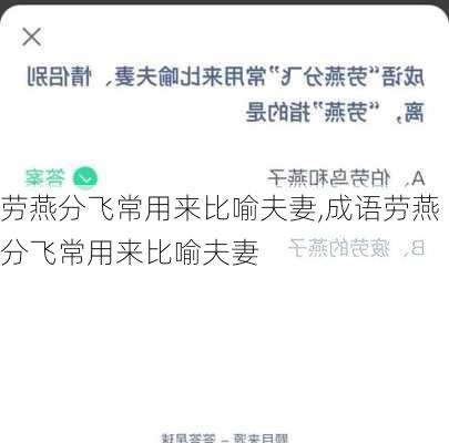 劳燕分飞常用来比喻夫妻,成语劳燕分飞常用来比喻夫妻