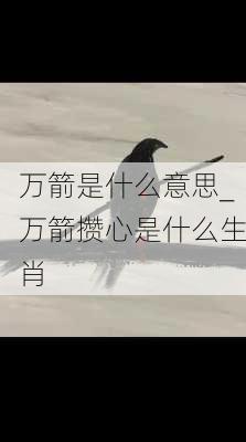 万箭是什么意思_万箭攒心是什么生肖