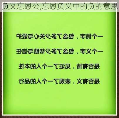 负义忘恩公,忘恩负义中的负的意思