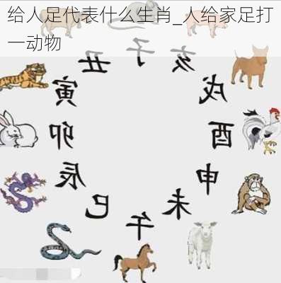 给人足代表什么生肖_人给家足打一动物