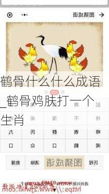 鹤骨什么什么成语_鹤骨鸡肤打一个生肖