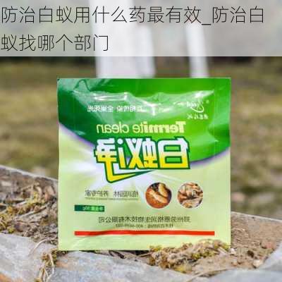 防治白蚁用什么药最有效_防治白蚁找哪个部门