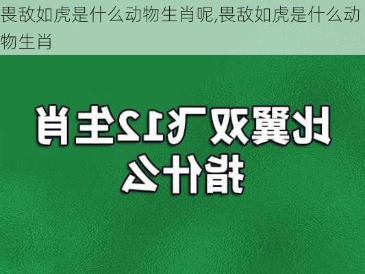 畏敌如虎是什么动物生肖呢,畏敌如虎是什么动物生肖