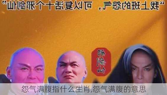 怨气满腹指什么生肖,怨气满腹的意思