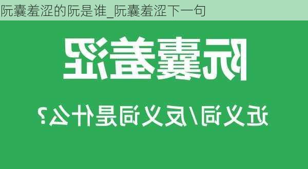 阮囊羞涩的阮是谁_阮囊羞涩下一句