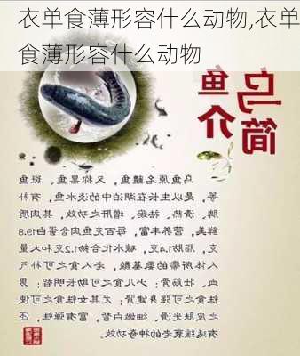 衣单食薄形容什么动物,衣单食薄形容什么动物