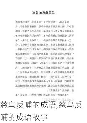 慈乌反哺的成语,慈乌反哺的成语故事