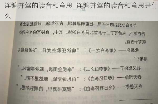 连镳并驾的读音和意思_连镳并驾的读音和意思是什么