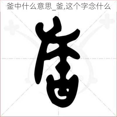 釜中什么意思_釜,这个字念什么