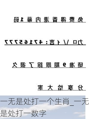 一无是处打一个生肖_一无是处打一数字