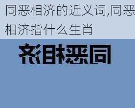 同恶相济的近义词,同恶相济指什么生肖