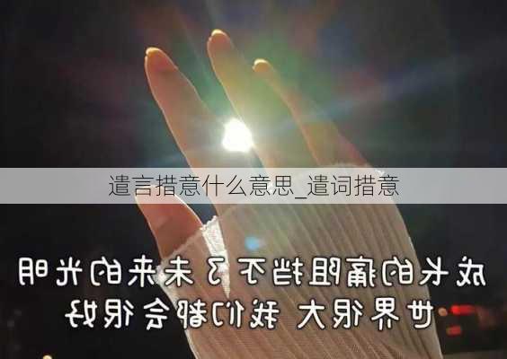 遣言措意什么意思_遣词措意