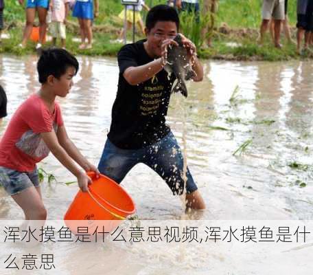 浑水摸鱼是什么意思视频,浑水摸鱼是什么意思