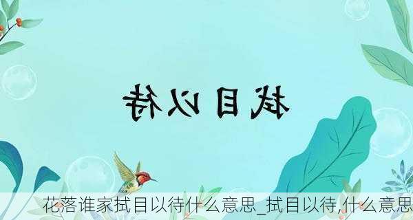 花落谁家拭目以待什么意思_拭目以待,什么意思