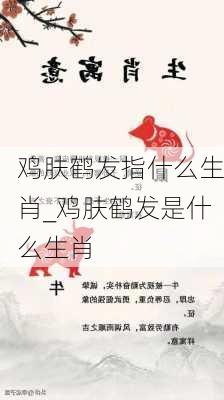 鸡肤鹤发指什么生肖_鸡肤鹤发是什么生肖