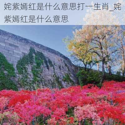 姹紫嫣红是什么意思打一生肖_姹紫嫣红是什么意思