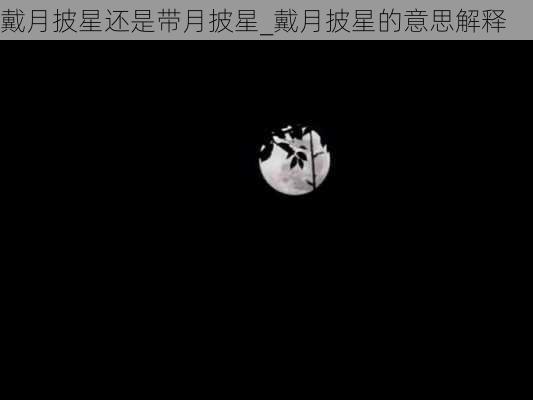 戴月披星还是带月披星_戴月披星的意思解释