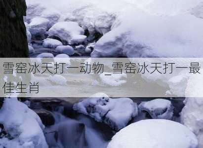 雪窑冰天打一动物_雪窑冰天打一最佳生肖