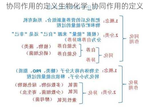 协同作用的定义生物化学_协同作用的定义