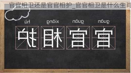 官官相卫还是官官相护_官官相卫是什么生肖