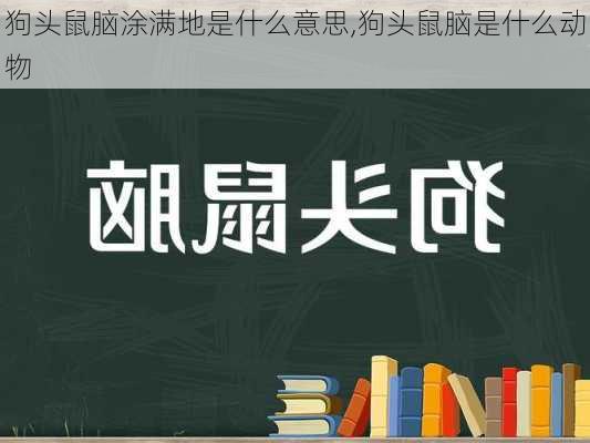 狗头鼠脑涂满地是什么意思,狗头鼠脑是什么动物