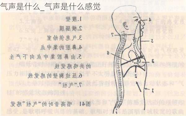 气声是什么_气声是什么感觉