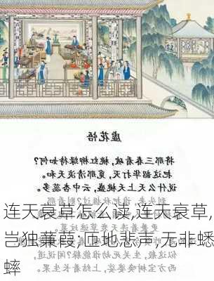 连天衰草怎么读,连天衰草,岂独蒹葭;匝地悲声,无非蟋蟀