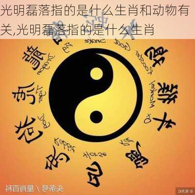 光明磊落指的是什么生肖和动物有关,光明磊落指的是什么生肖