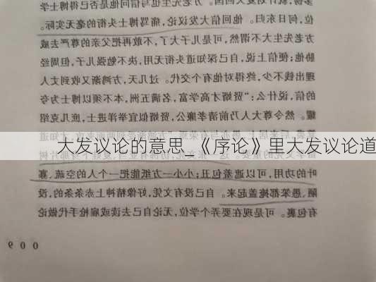 大发议论的意思_《序论》里大发议论道