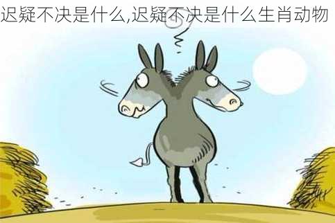 迟疑不决是什么,迟疑不决是什么生肖动物