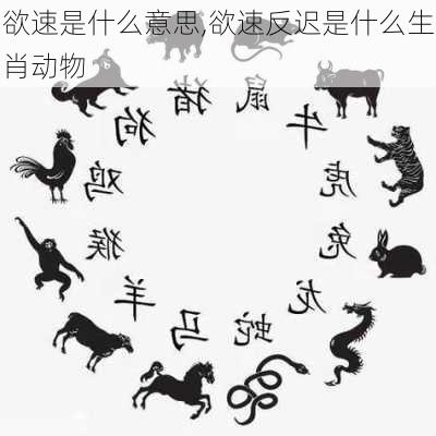 欲速是什么意思,欲速反迟是什么生肖动物